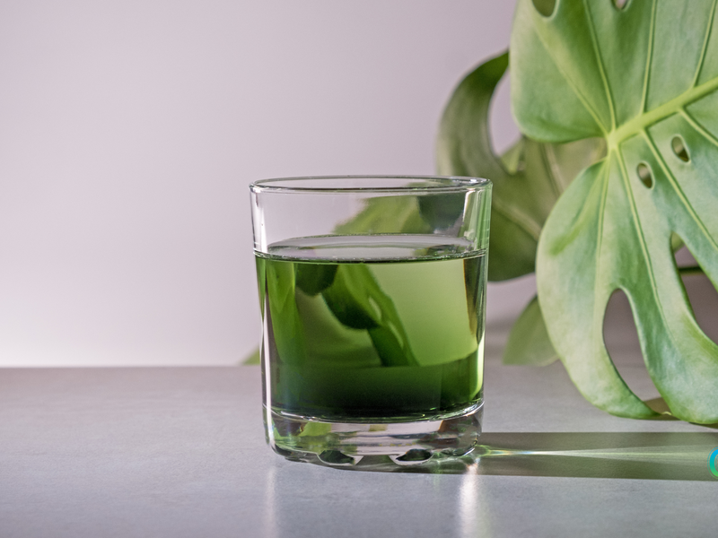 chlorophyll benefits
