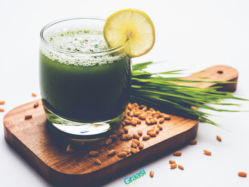 plant based barley water