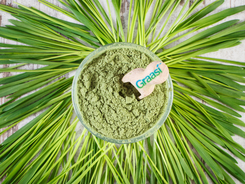 barley grass powder benefits