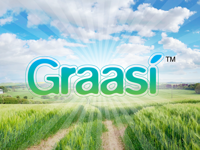 barley grass field