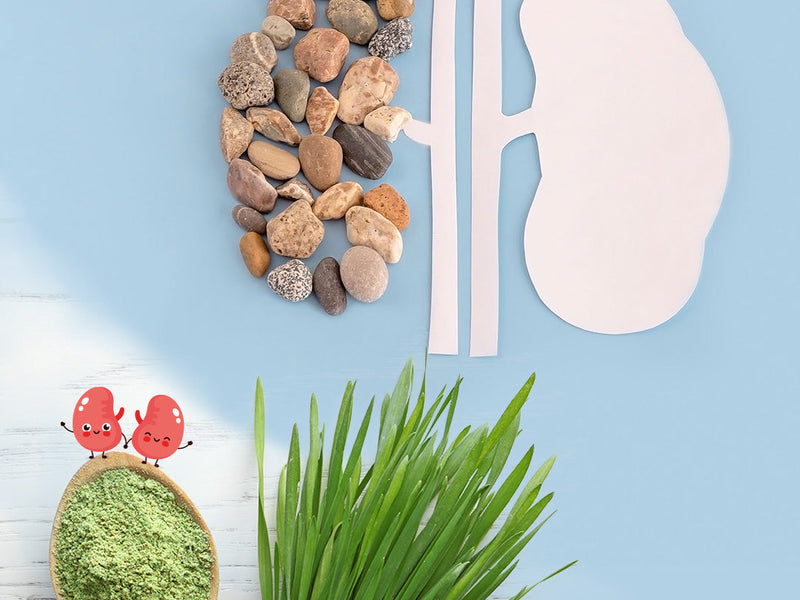 barley water for kidney stones