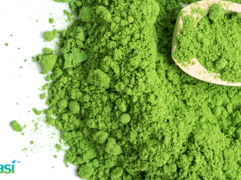 barley grass juice powder