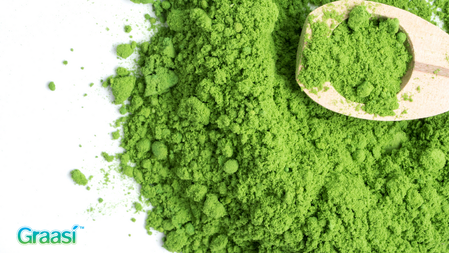 Barley Grass Powder: A Natural Detoxifier