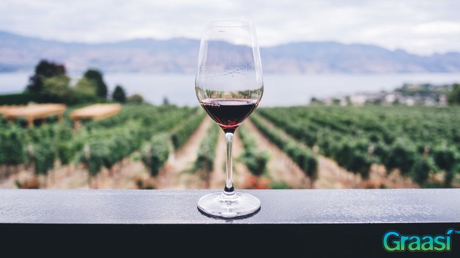 Uncovering the Non-Alcoholic Terroir Beverage Movement