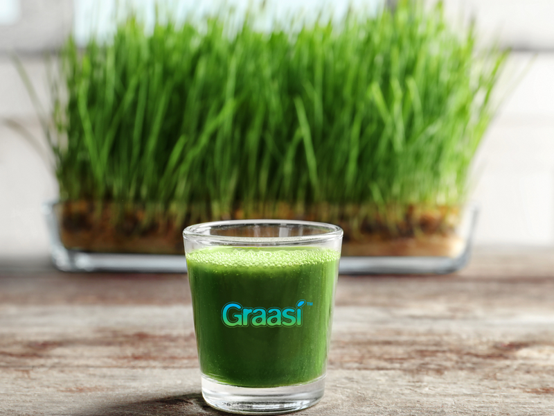 barley grass