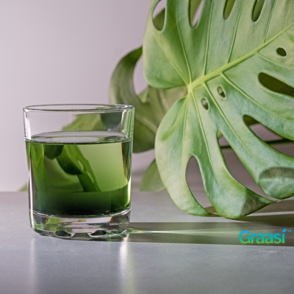 The Incredible Health Benefits of Chlorophyll