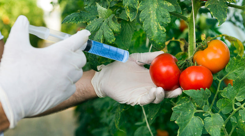 Why Non-GMO Still Matters in Functional Beverages