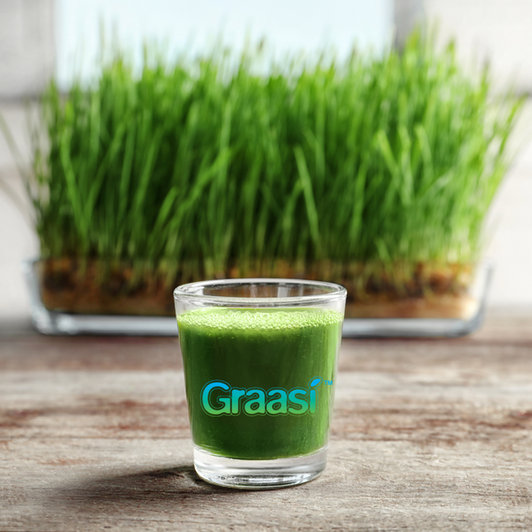 Discover the Power of Juiced Grasses