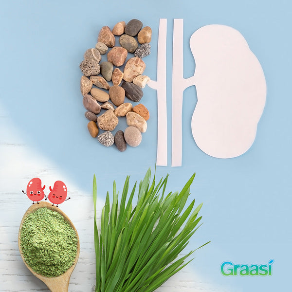 Say Goodbye to Kidney Stones with Barley Water!