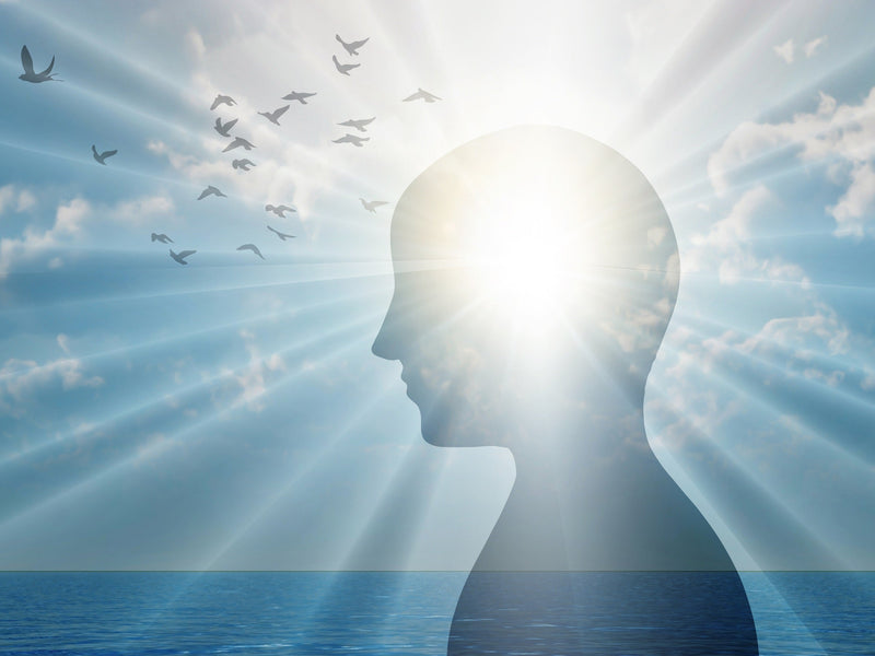 Vitamin D and Mental Wellness: What You Should Know