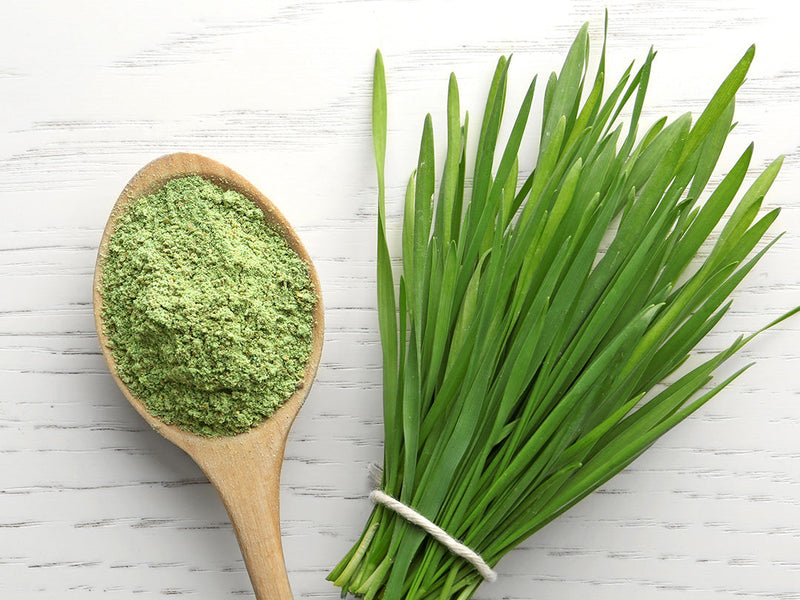 organic barley grass juice powder