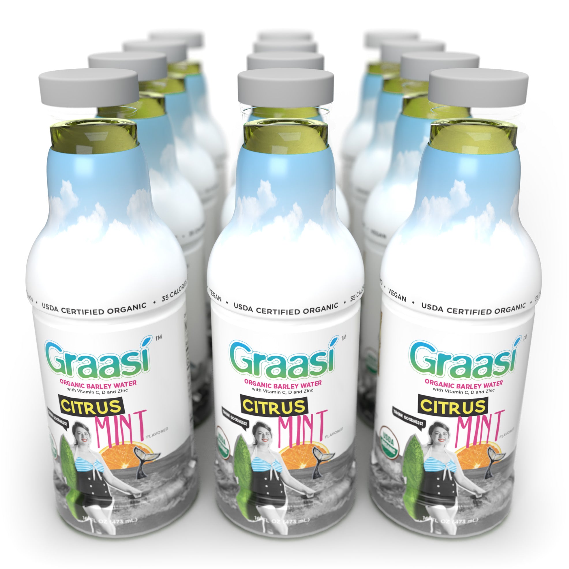Citrus Mint | 12 Bottles
