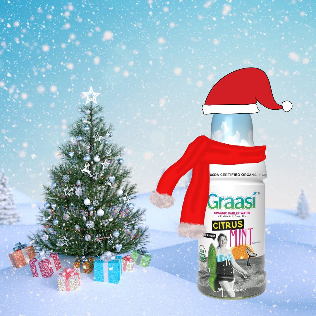 Healthy Drinks to Reset After Christmas (Before Dry January)
